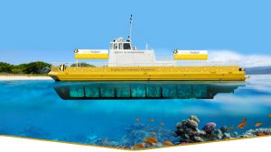 Coral Safari