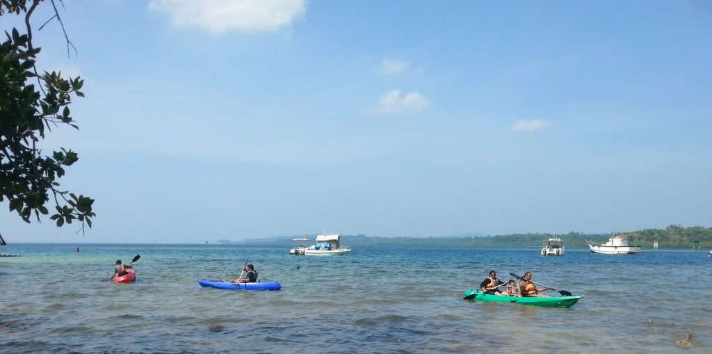 Kayaks2 Online Andaman Book Cheap Holiday & Tour Packages to Andaman