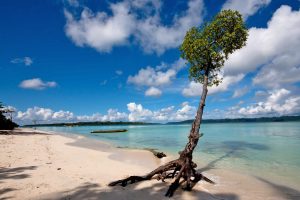 Elephant beach Havelock Island